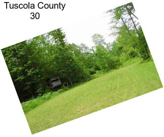 Tuscola County 30