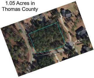 1.05 Acres in Thomas County