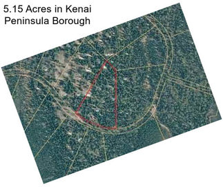 5.15 Acres in Kenai Peninsula Borough
