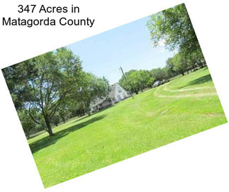 347 Acres in Matagorda County