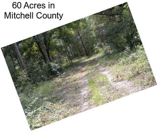 60 Acres in Mitchell County