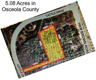 5.08 Acres in Osceola County