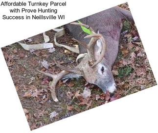 Affordable Turnkey Parcel with Prove Hunting Success in Neillsville WI