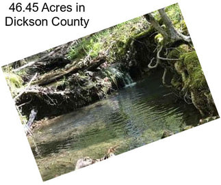 46.45 Acres in Dickson County