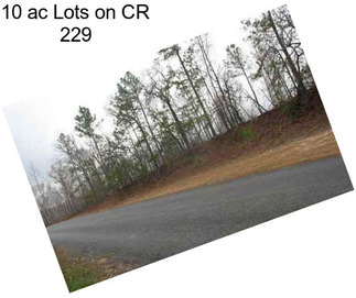 10 ac Lots on CR 229