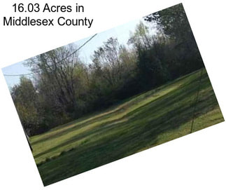 16.03 Acres in Middlesex County