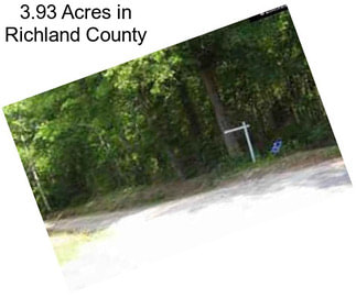 3.93 Acres in Richland County