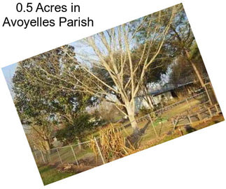0.5 Acres in Avoyelles Parish