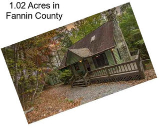 1.02 Acres in Fannin County