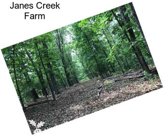 Janes Creek Farm