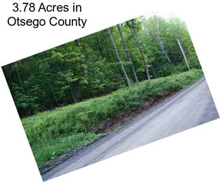 3.78 Acres in Otsego County