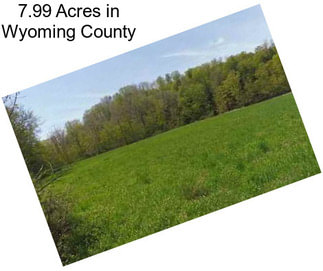 7.99 Acres in Wyoming County
