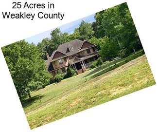 25 Acres in Weakley County