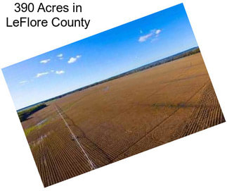 390 Acres in LeFlore County