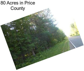 80 Acres in Price County