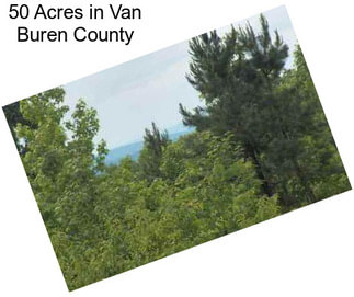 50 Acres in Van Buren County