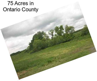 75 Acres in Ontario County