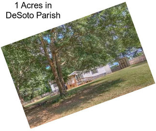 1 Acres in DeSoto Parish