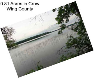 0.81 Acres in Crow Wing County