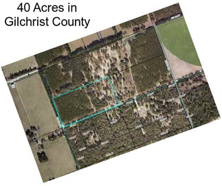 40 Acres in Gilchrist County