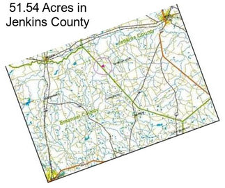 51.54 Acres in Jenkins County