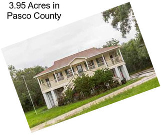 3.95 Acres in Pasco County