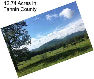 12.74 Acres in Fannin County