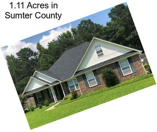 1.11 Acres in Sumter County