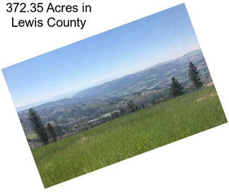 372.35 Acres in Lewis County