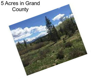 5 Acres in Grand County