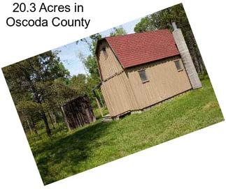 20.3 Acres in Oscoda County