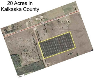 20 Acres in Kalkaska County