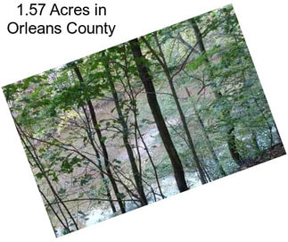 1.57 Acres in Orleans County