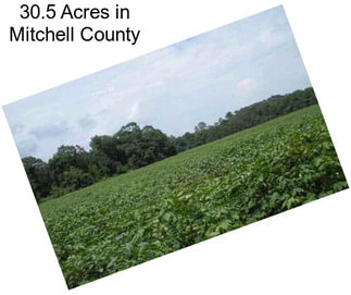 30.5 Acres in Mitchell County