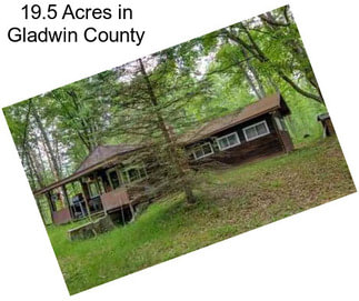 19.5 Acres in Gladwin County