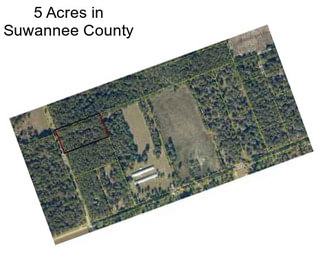5 Acres in Suwannee County