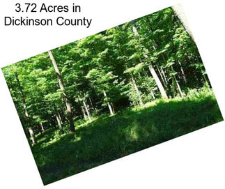 3.72 Acres in Dickinson County