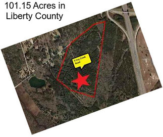 101.15 Acres in Liberty County