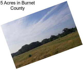 5 Acres in Burnet County