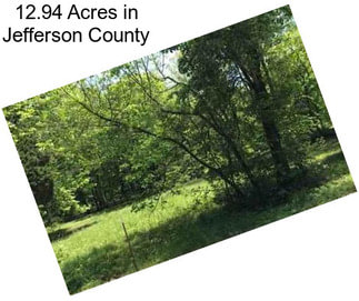 12.94 Acres in Jefferson County