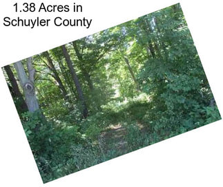 1.38 Acres in Schuyler County