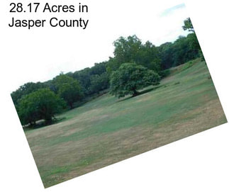 28.17 Acres in Jasper County
