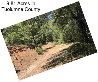 9.81 Acres in Tuolumne County