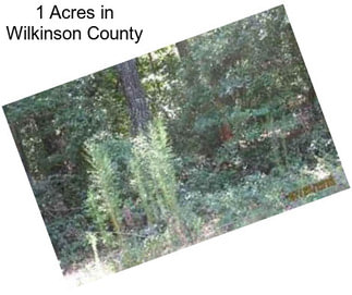 1 Acres in Wilkinson County