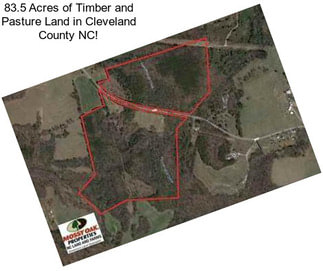 83.5 Acres of Timber and Pasture Land in Cleveland County NC!