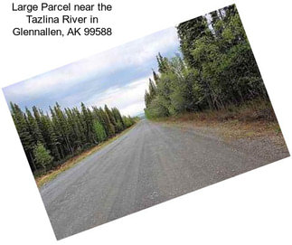 Large Parcel near the Tazlina River in Glennallen, AK 99588