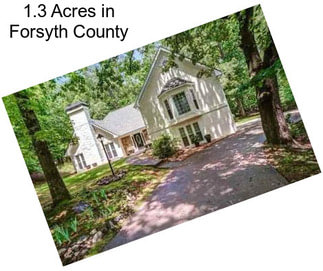 1.3 Acres in Forsyth County