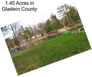 1.45 Acres in Gladwin County