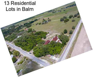 13 Residential Lots in Balm