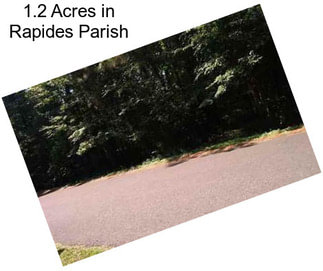 1.2 Acres in Rapides Parish